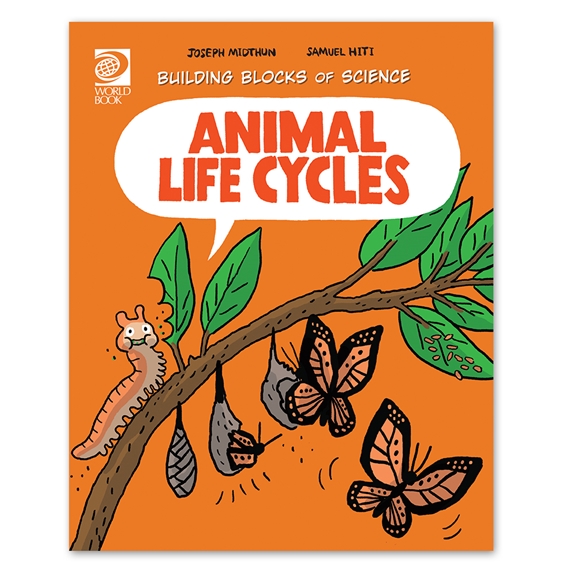 Animal Life Cycles cover