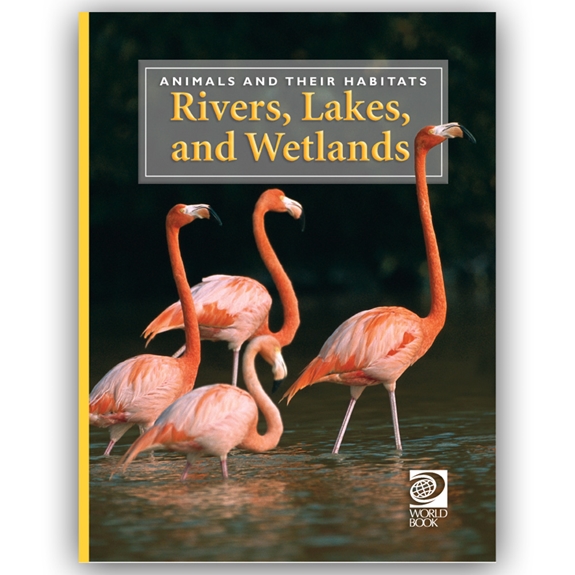 Rivers, Lakes, and Wetlands cover