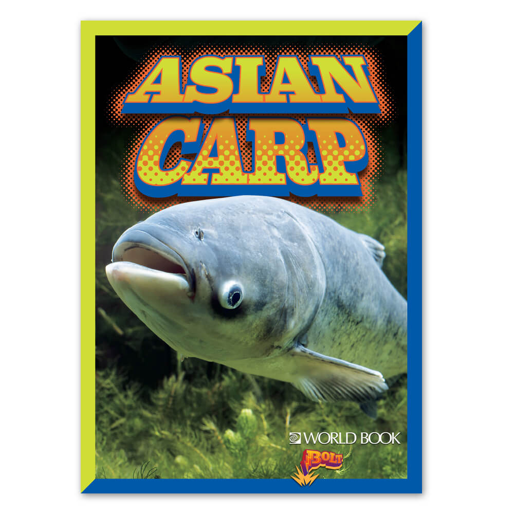 Asian Carp cover