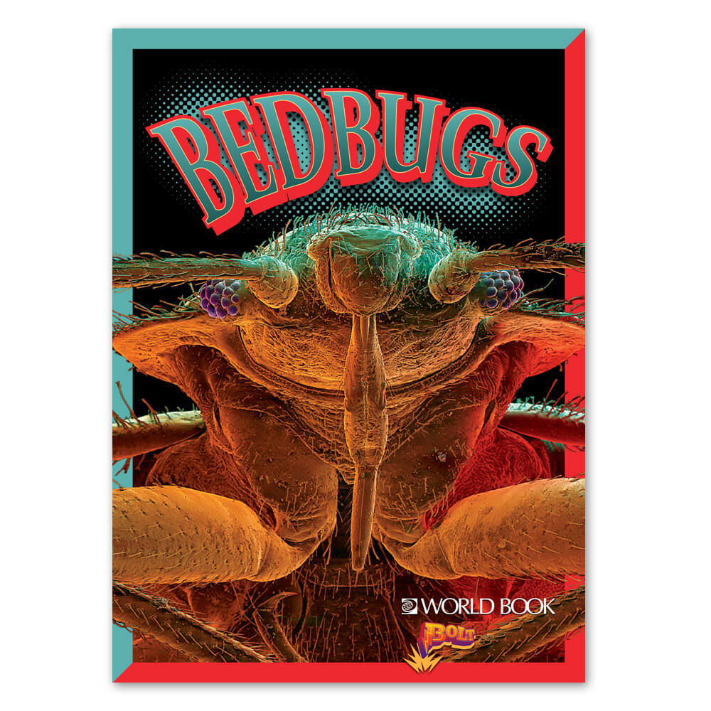 Bedbugs cover