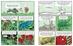 Building Blocks of Life Science Page Sample for Kids