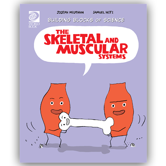 Skeletal and Muscular Systems cover
