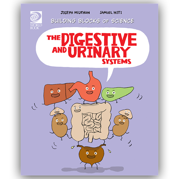 The Digestive and Urinary Systems cover
