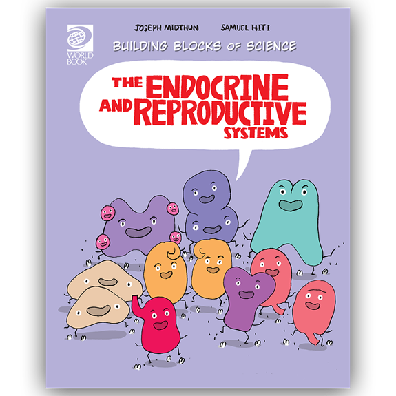 The Endocrine and Reproductive Systems cover