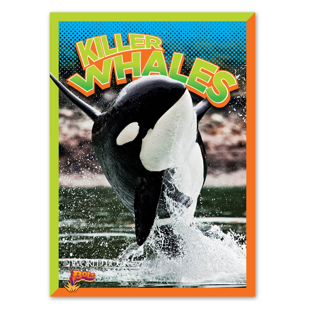 BOLT Killer Whales cover