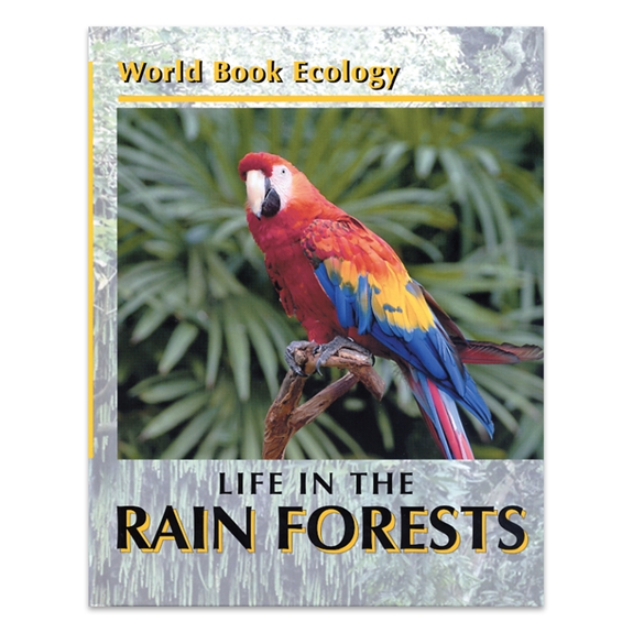 Life in the Rain Forest cover