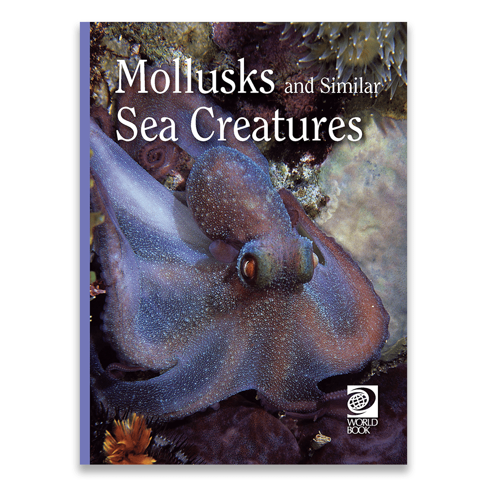 Mollusks and Similar Sea Creatures cover