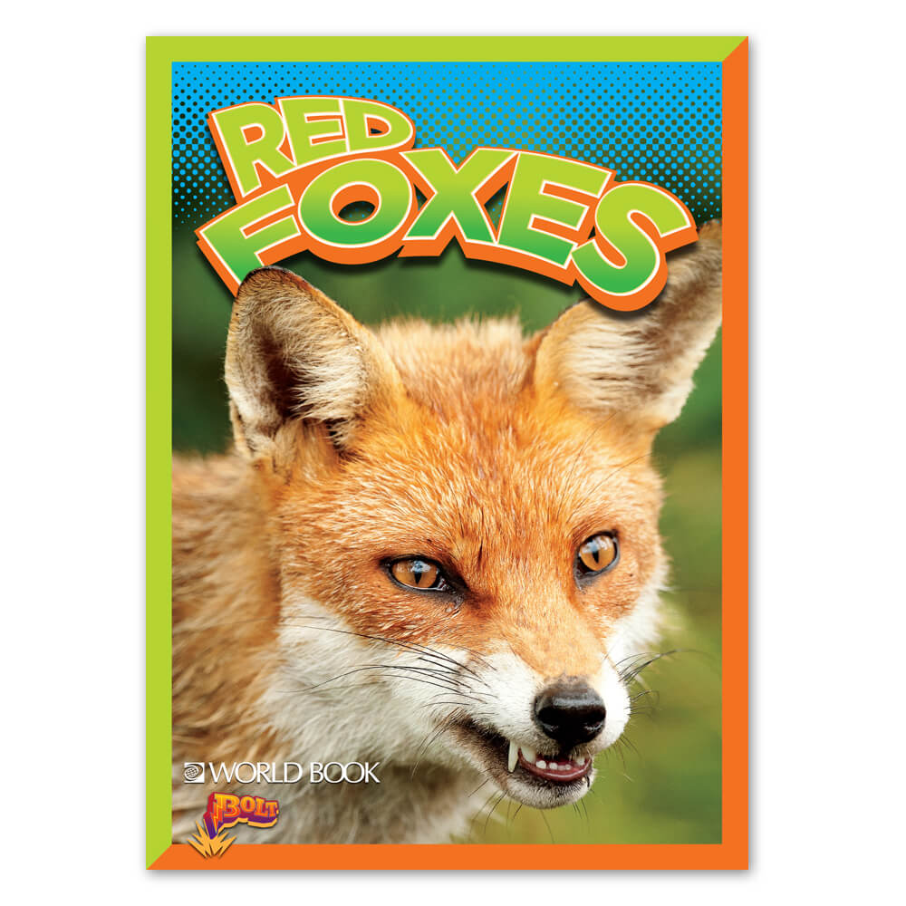 BOLT Red Foxes cover