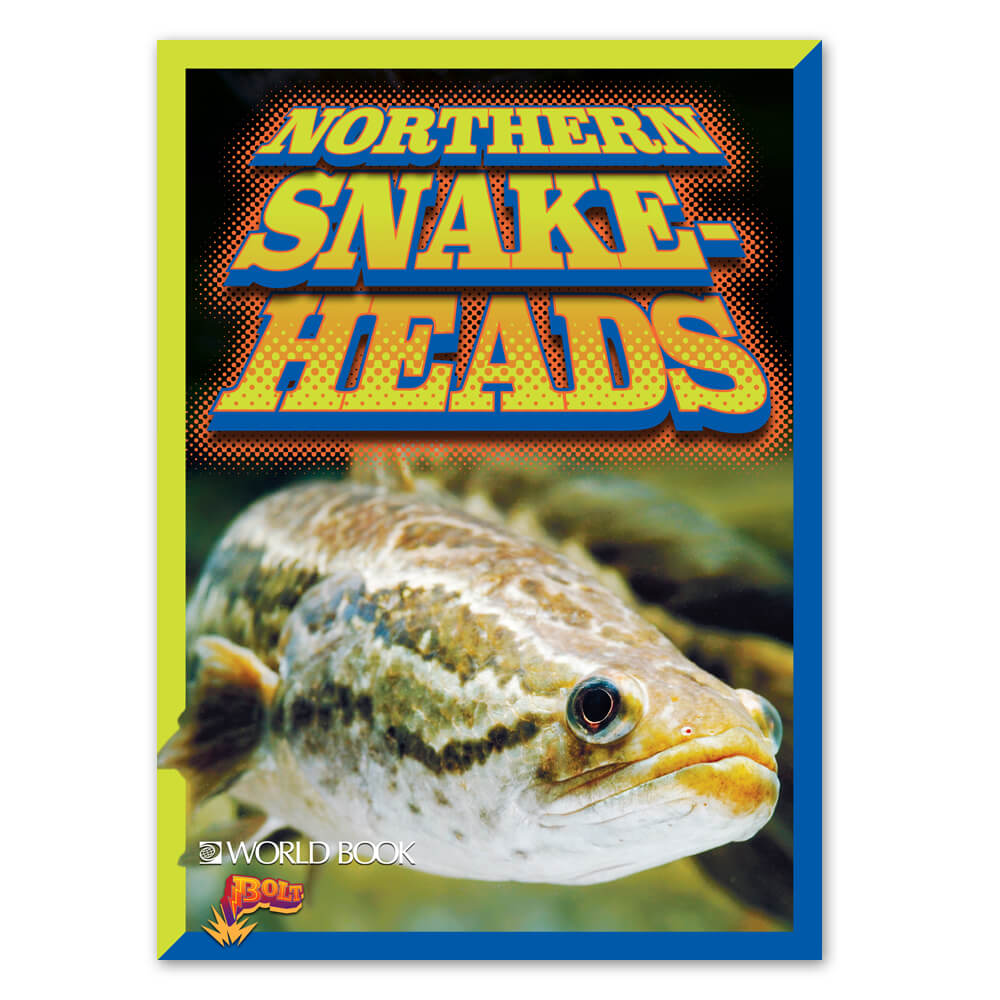 BOLT Northern Snakeheads cover