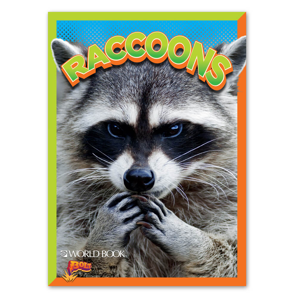 BOLT Raccoons cover