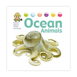 Ocean Animals cover