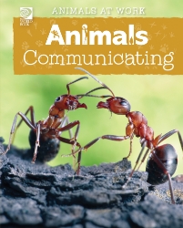 Animals Communicating 