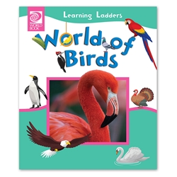World of Birds flightless bird, parrot, pigeon, woodpecker, flamingo, wing